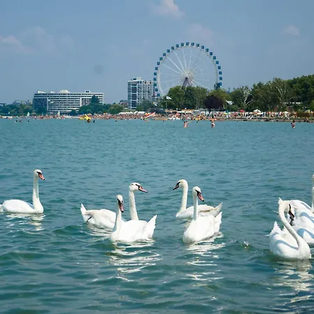 In - Balaton 53130